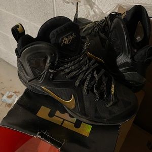 Nike Lebron 9 P.s. elite